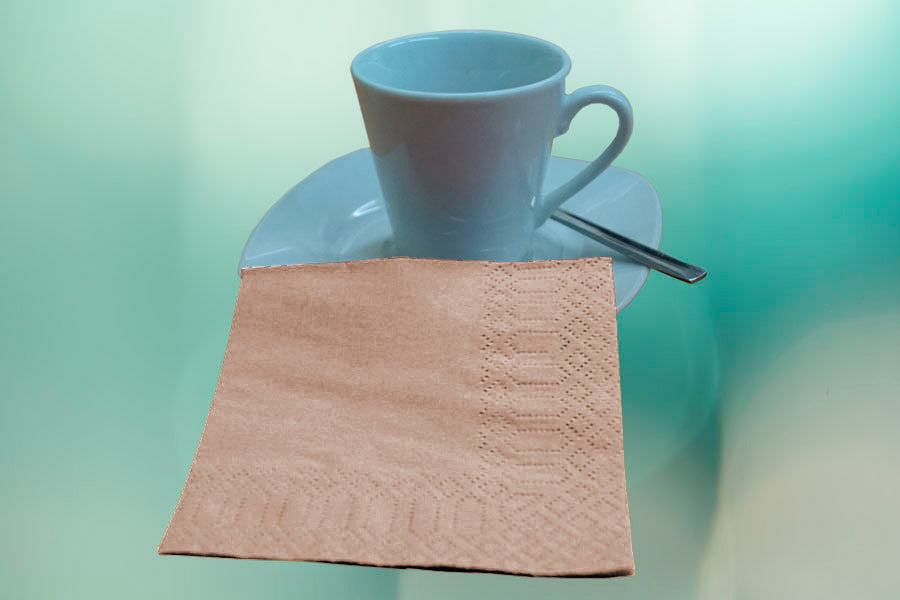 Servilletas Cenefa 20x20cm Eco Nature, 100uds 60pq