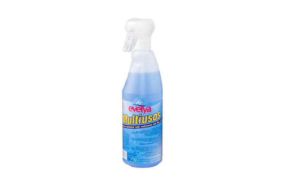 Nettoyeur Multiusos Evelya (6x750cc)