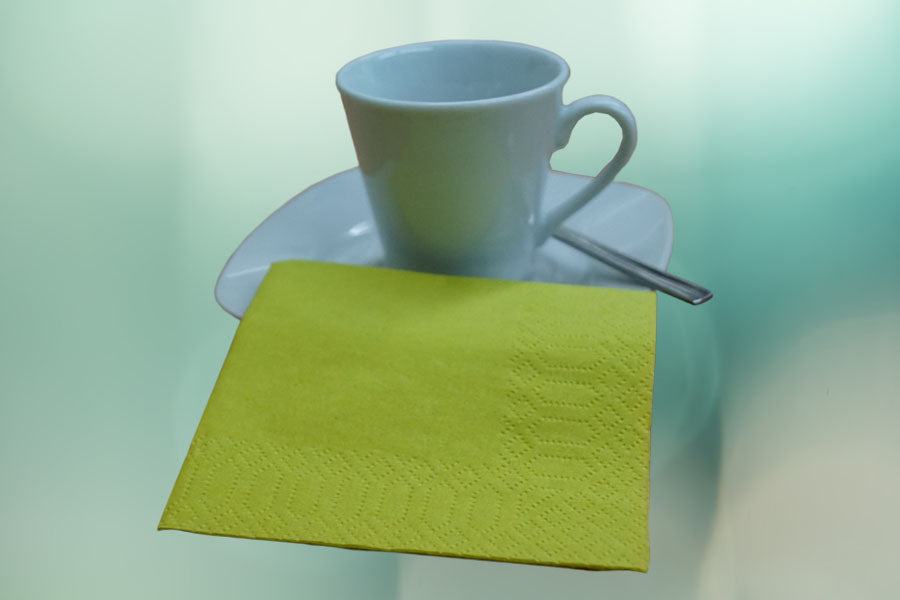 Napkins 20x20 Border 100 units 60 pack. Pistachio
