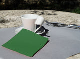 Servilletas Micropunto 20x20cm Verde, 100uds 24pq