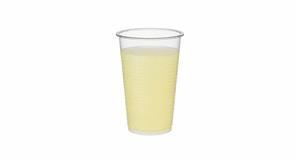 Vaso Reutilizable PP 300cc Transparente