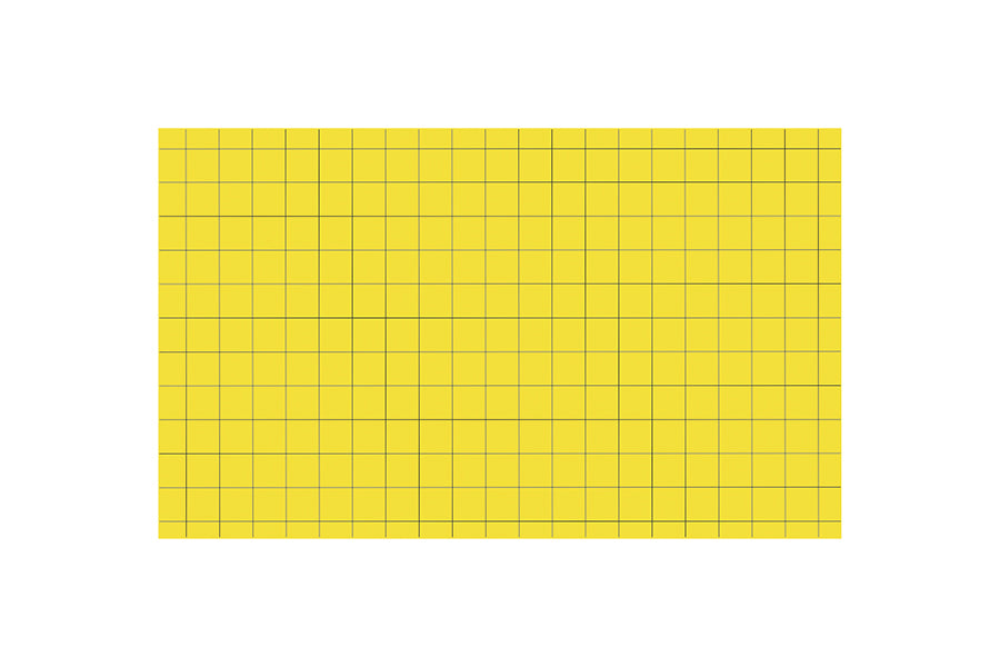 Insect killer adhesive 390x300mm 6 units