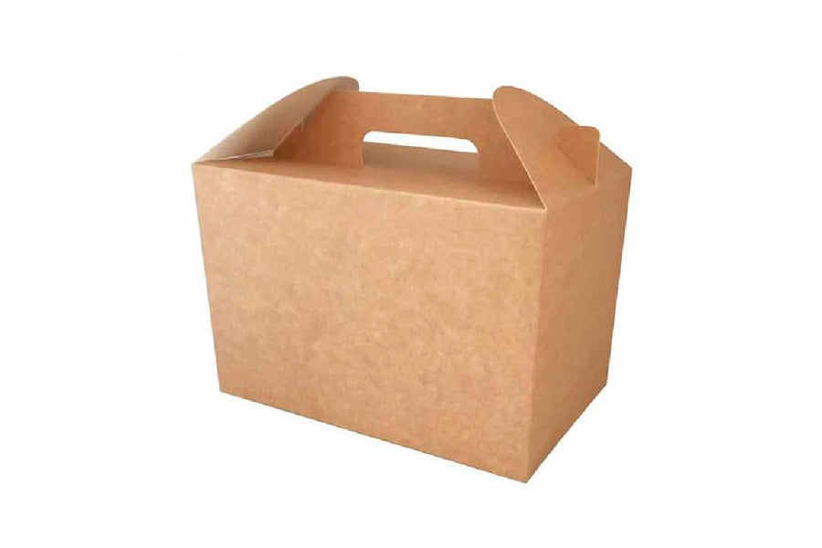 Caja Pic Nic 22x15x14 25 uds