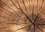 Mantel papel 30x42cm 80gr Deco. Tronco Impresion Offset, 250uds