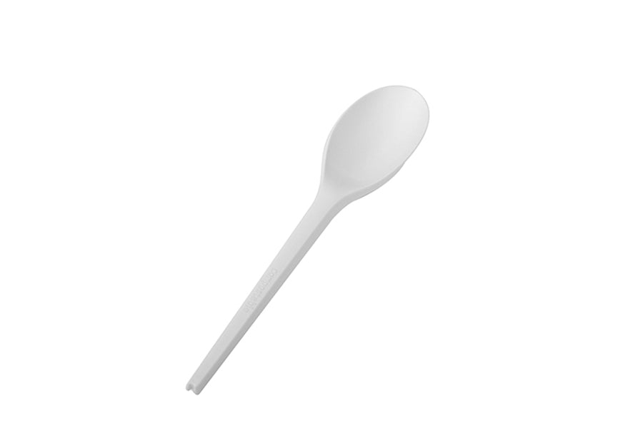 CPLA spoon 165mm (10pk. x 100pcs)