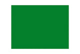 Mantel Papel Fondo Color 30x40 45gr 500uds Verde OUTLET