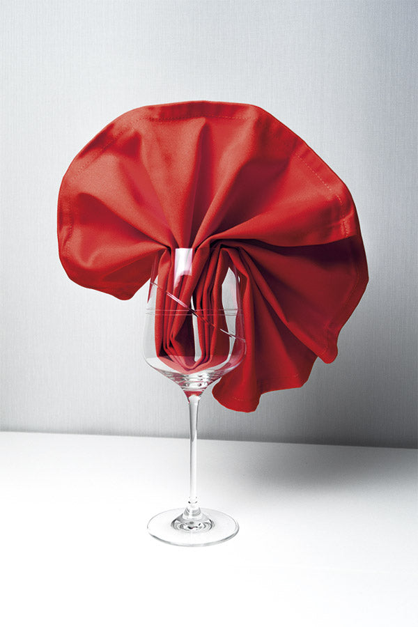 Satin Napkin 54x54cm Color (100% Polyester) 