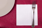 Servilleta 1 Capa 30x30cm Blanco, 3840uds